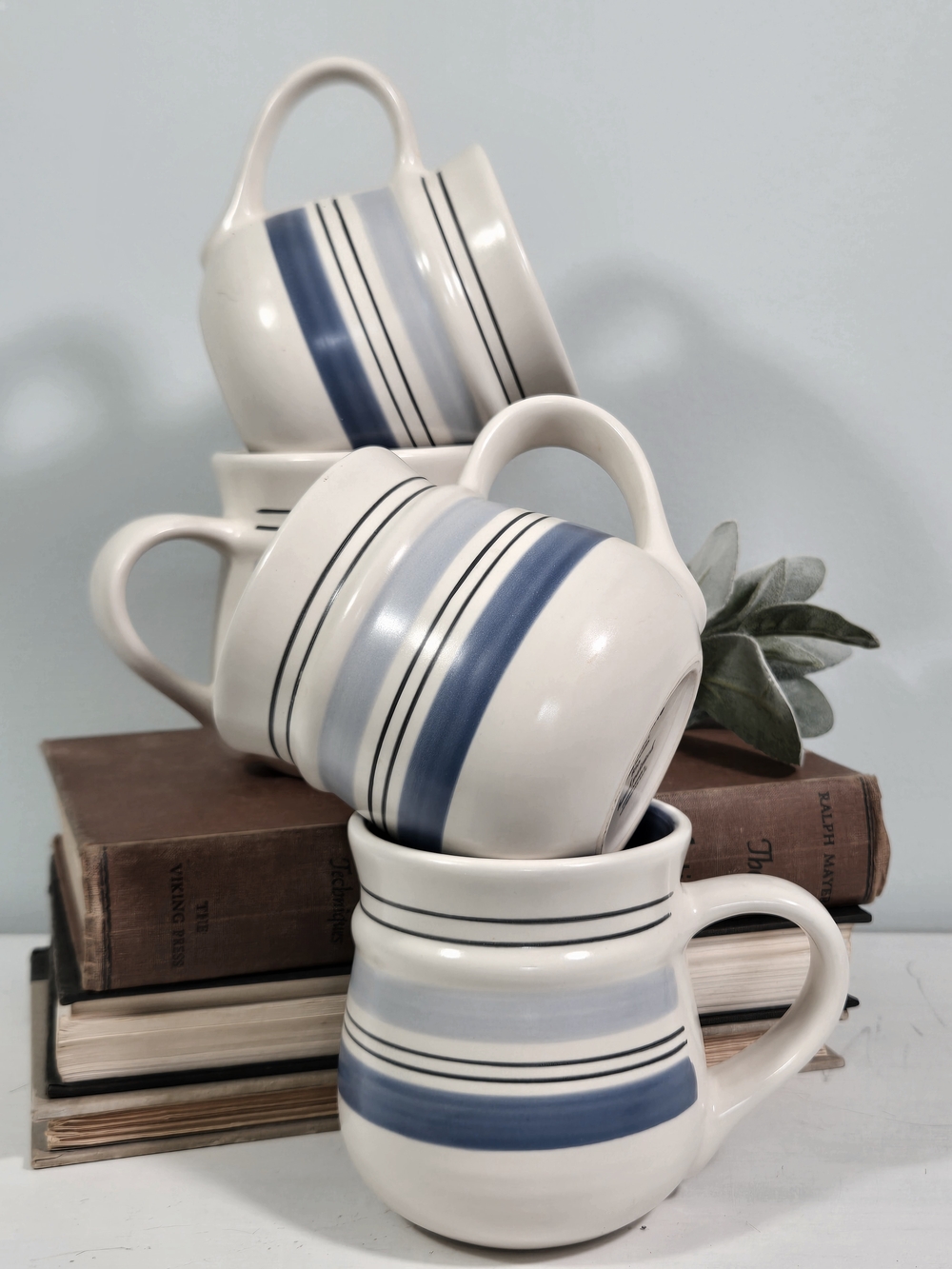 Pfaltzgraff Rio Mug Set